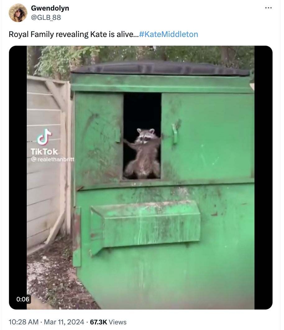 racoon opens dumpster - Gwendolyn 88 Royal Family revealing Kate is alive.... # Kate Middleton TikTok realethanbitt Views